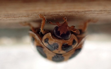 PC142453a.jpg